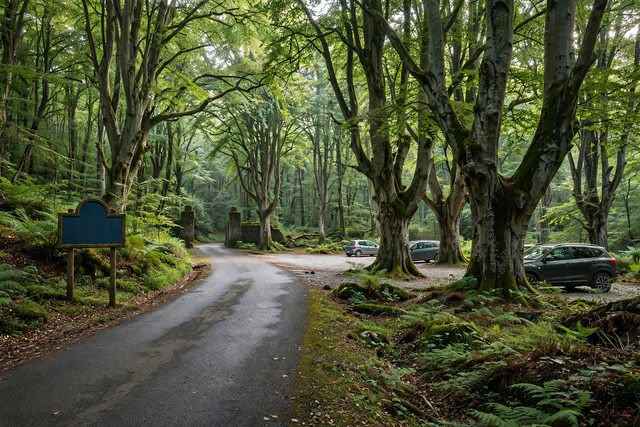 Come arrivare e dove parcheggiare alla Foresta Umbra